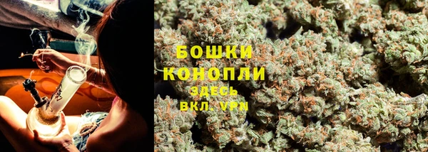 ешки Ладушкин