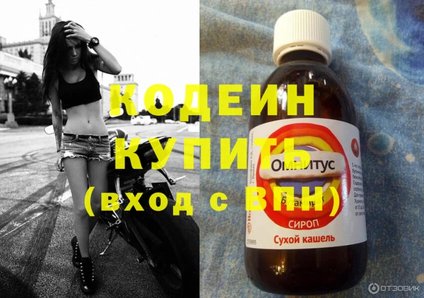молекула духа Лабытнанги